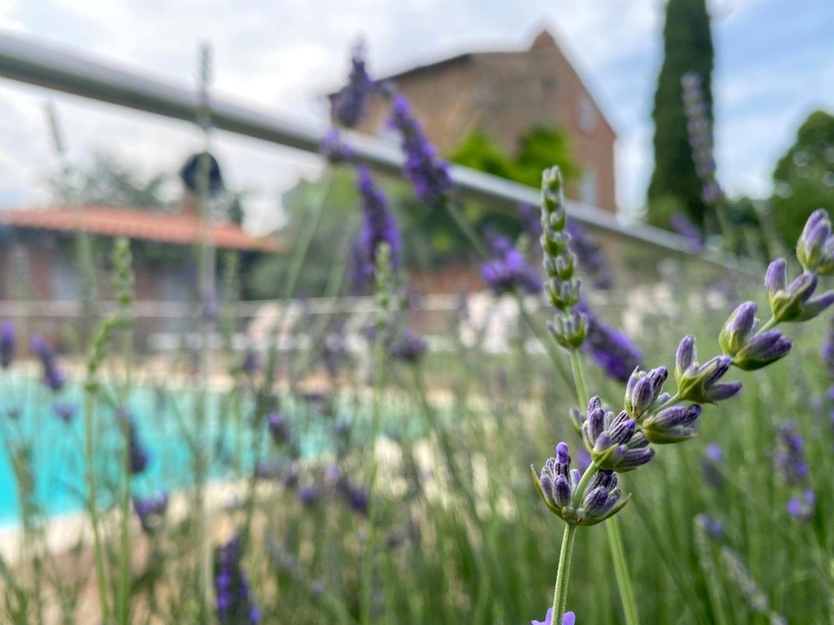 La Bacaia Villa Marciano della Chiana ภายนอก รูปภาพ