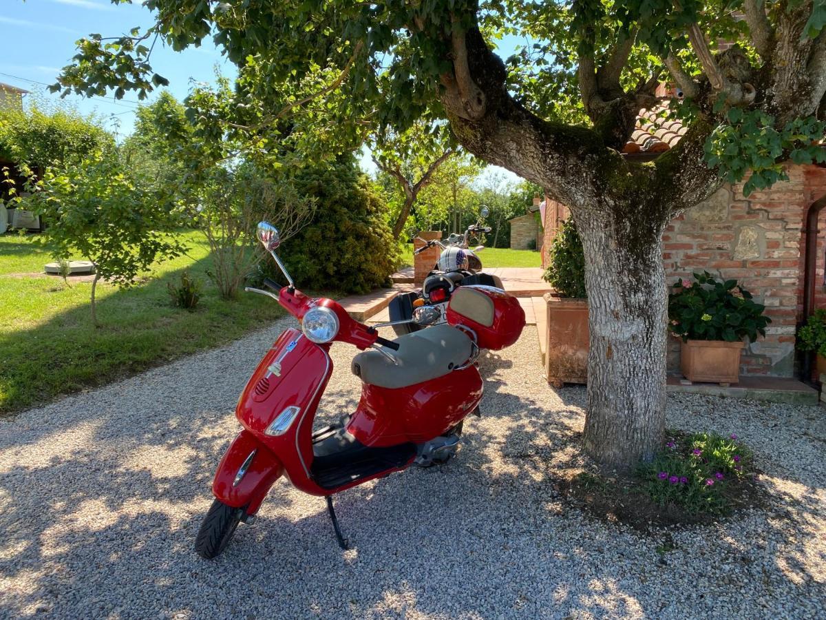 La Bacaia Villa Marciano della Chiana ภายนอก รูปภาพ